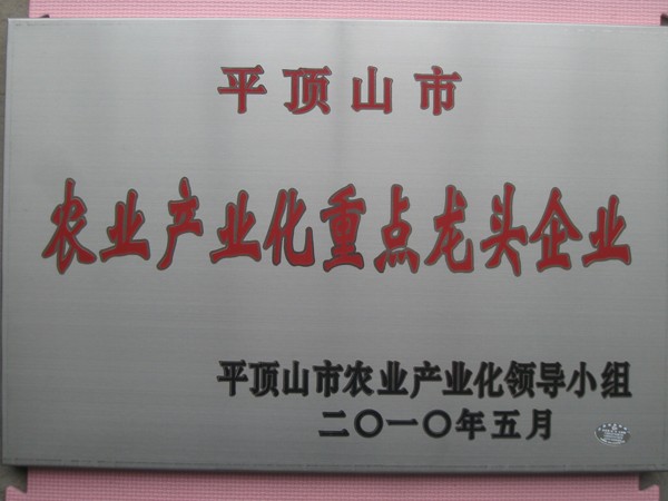 河南梨樹苗批發