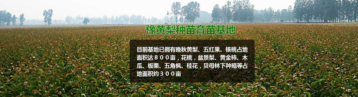 產(chǎn)品中心
